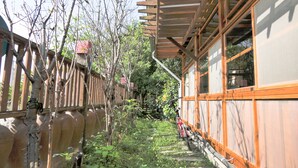 A traditional Japanese-style building with wooden beams and large windows. - Sakura B&B (Ji'an)