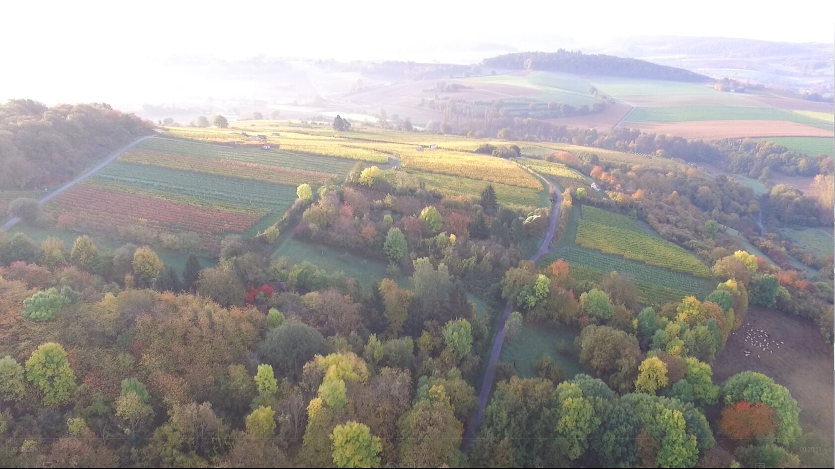 Eine Luftaufnahme einer ländlichen Landschaft mit Feldern, Bäumen und einer kurvenreichen Straße.