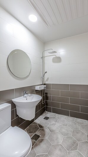 Shower, free toiletries, hair dryer, towels