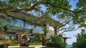 Un edificio moderno de varios pisos con un balcón de vidrio, rodeado de vegetación exuberante y un gran árbol.
