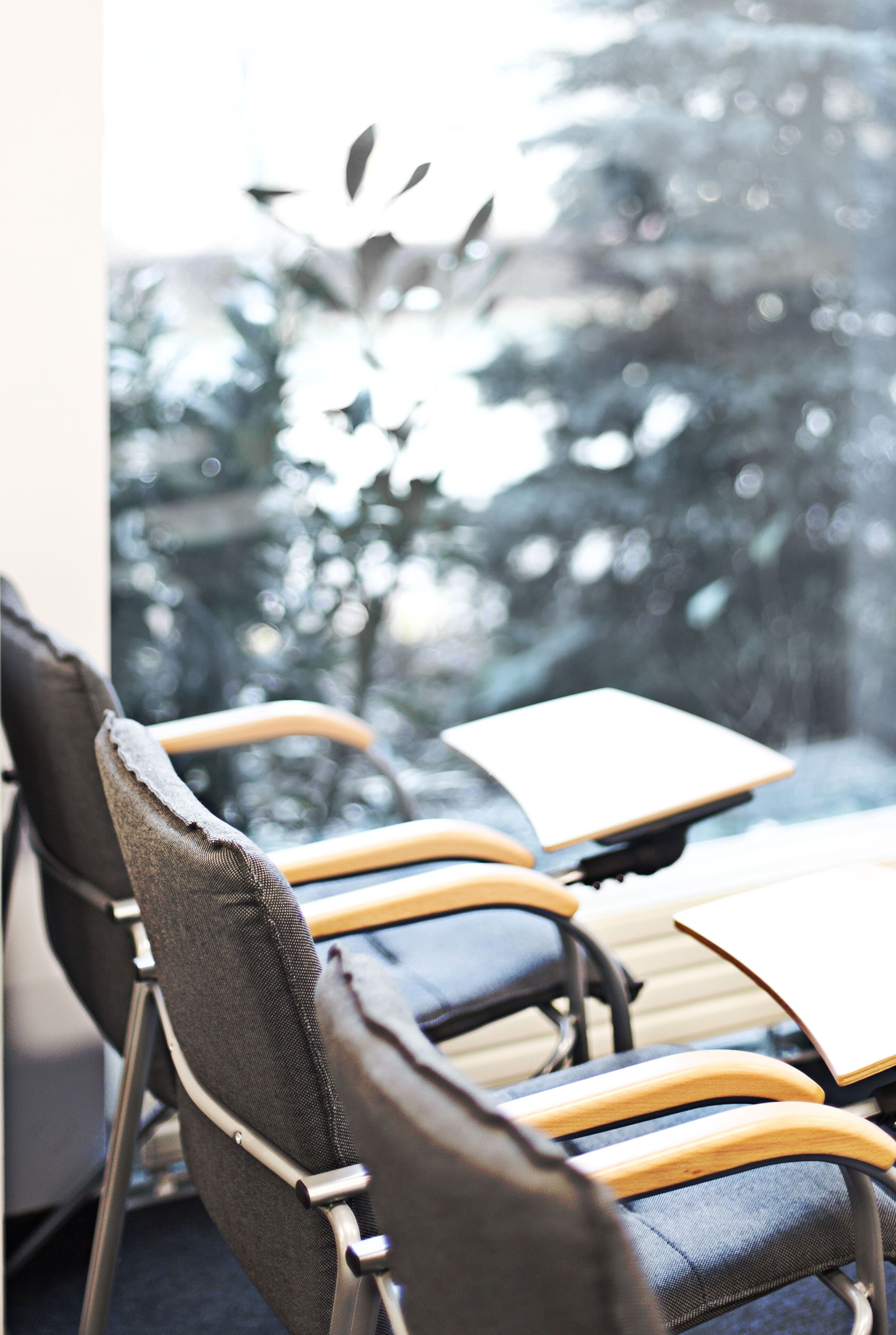 A seating area with chairs and a table, a window with a view of trees, and a modern light fixture.