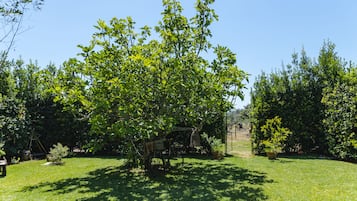 Ein gepflegter Garten mit verschiedenen Bäumen und einem Fahrrad.