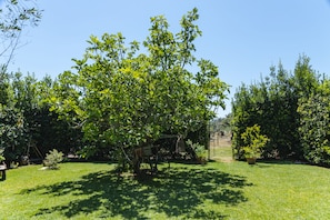 A well-maintained garden with a variety of trees and a bicycle. - Casa di Marco (Sannicola)