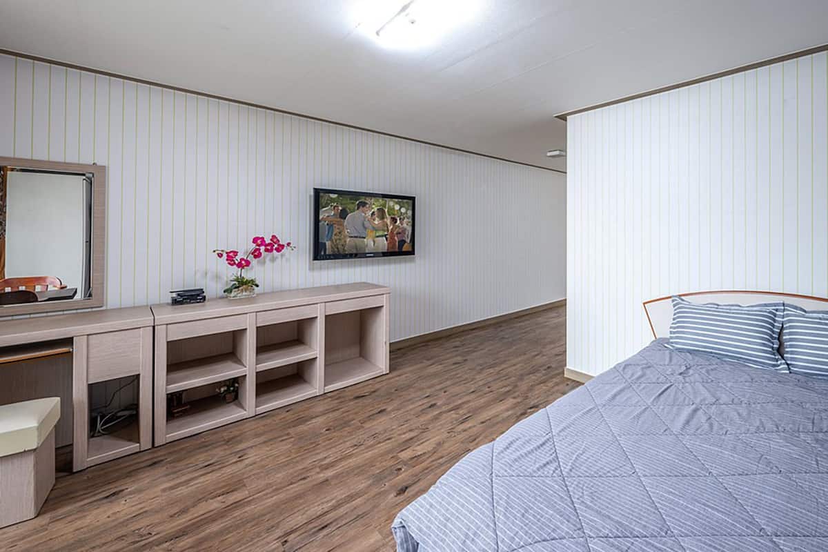 Ein Schlafzimmer mit einem Bett, einem Fernseher, einem Schreibtisch und einem Spiegel.