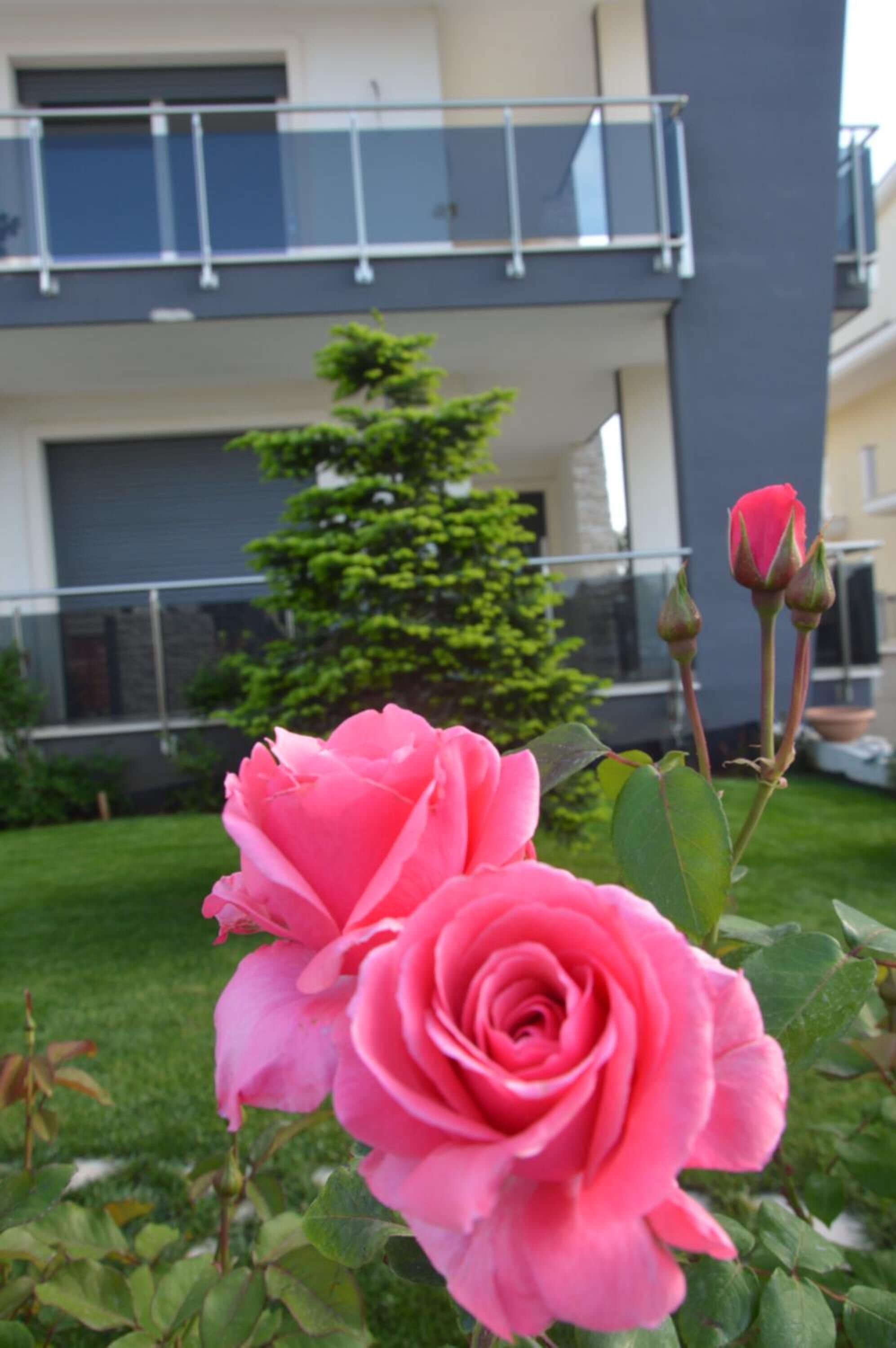 Jardines del alojamiento