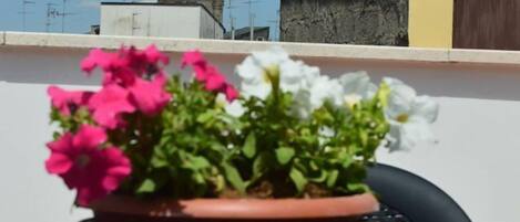 A rooftop with a potted plant and a bell tower in the background.
