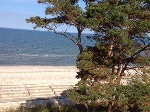 Immagine non classificata, 2 di 16, pulsante