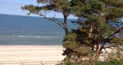 Vacation Dreamland - Vacation