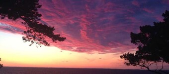 Vacation Dreamland - Vacation