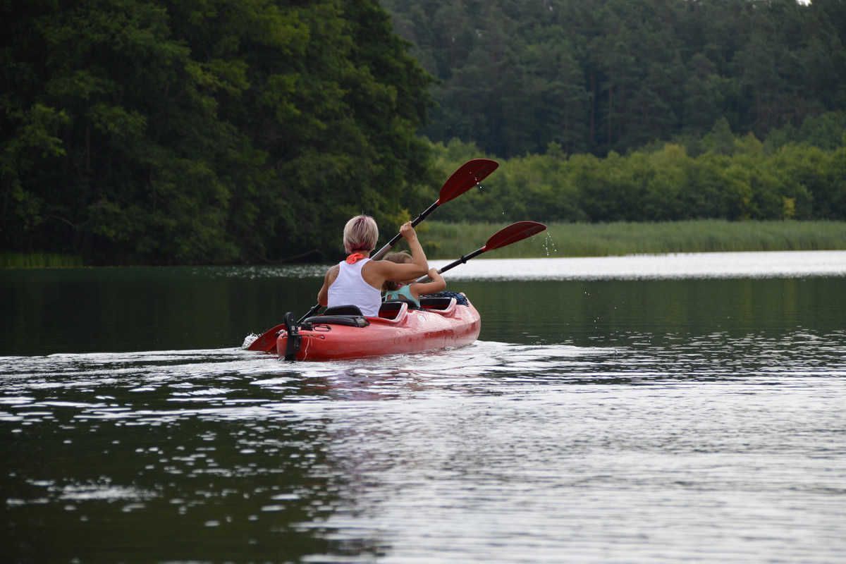 A person kayaking on a lake surrounded by dense forest.