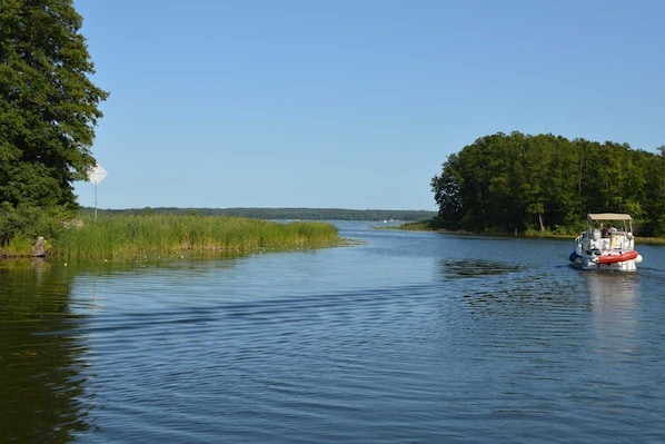 Unclassified image, 1 of 24, button