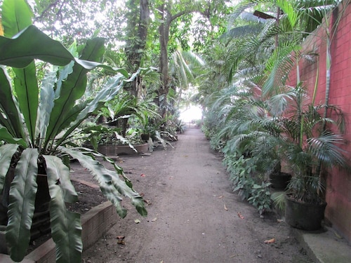 NEWLY RENOVATED!!! Felipa Beach and Guesthouse - Bird of Paradise