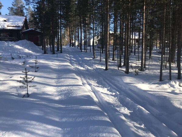 Snow and ski sports