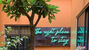 Un arbre sur lequel est fixée une enseigne lumineuse au néon indiquant : « L’endroit idéal pour séjourner. »