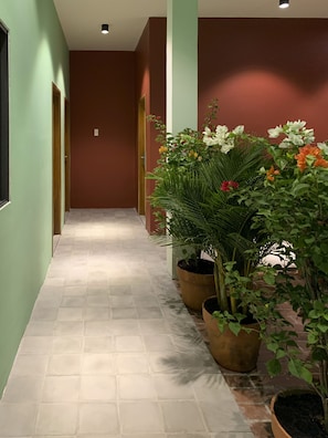 A hallway with a tiled floor, green walls, and potted plants with flowers. - Chi Hieu Homestay (Bac Lieu)