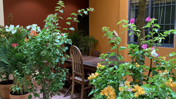 Un espace extérieur aménagé en patio, avec un sol en briques, des plantes en pot, une table en bois et des chaises.