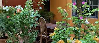 Chi Hieu Homestay