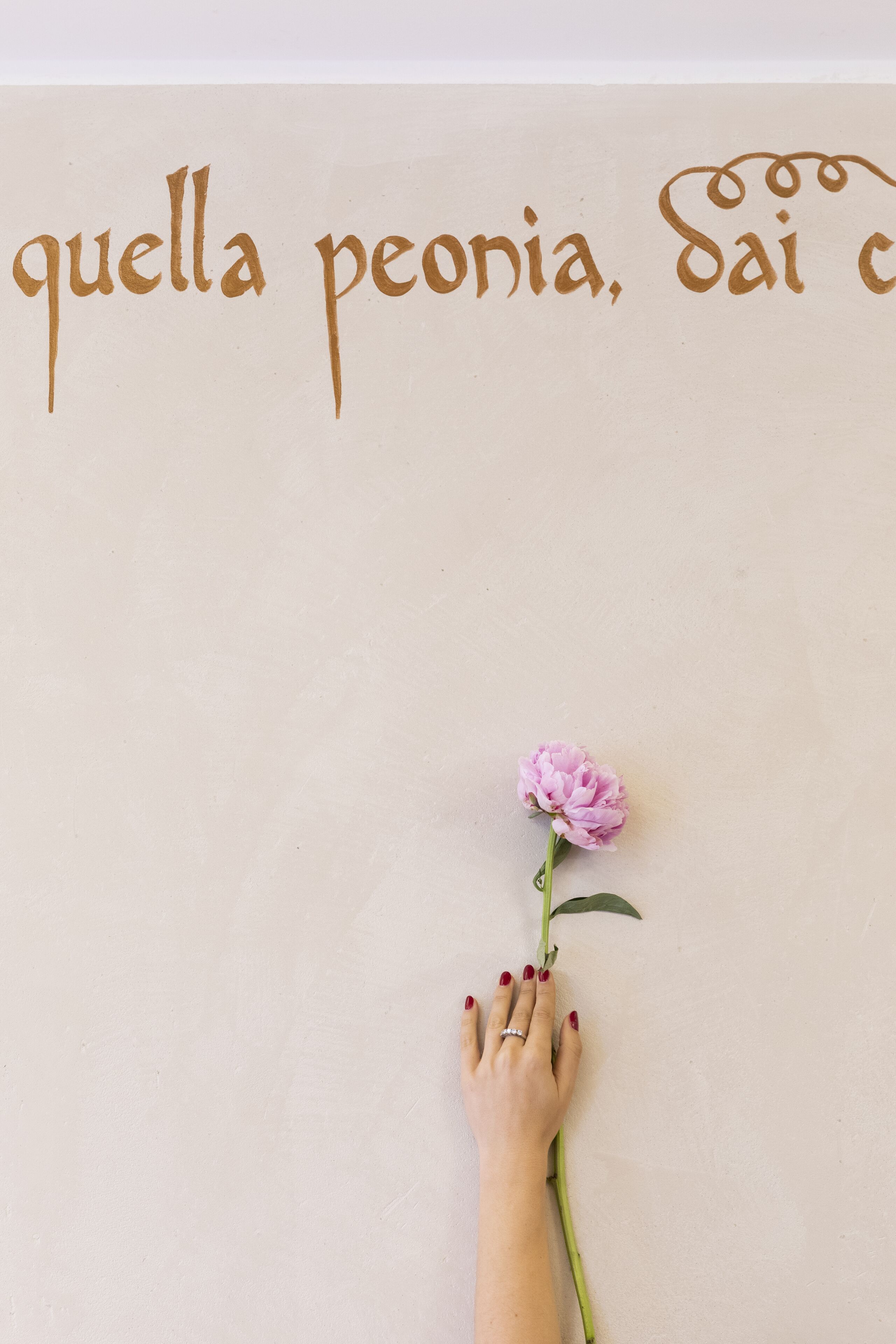 A hand holding a pink flower against a wall with text.