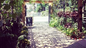 Un sendero en un jardín que lleva a un pérgola con plantas trepadoras.