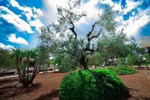 Garden - Relais d'Itria (Grottaglie)