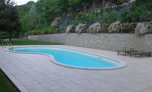 Outdoor pool - La Rana e la Salamandra House (Loazzolo)