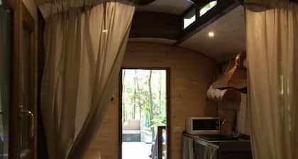 La Rana e la Salamandra House