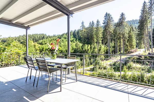 Executive Apartment | Terrace/patio