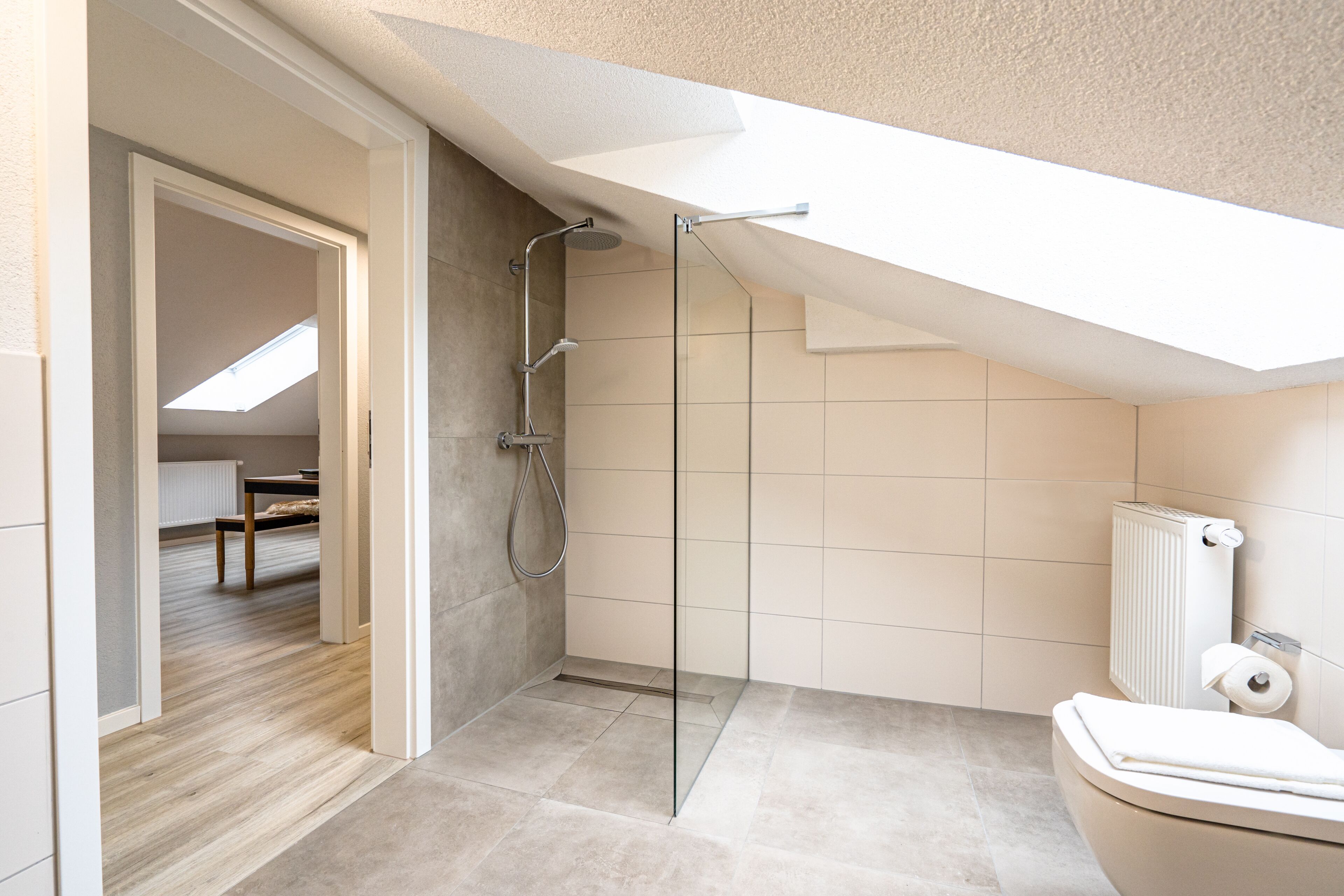 A modern bathroom with a glass shower enclosure, a toilet, and a skylight above.