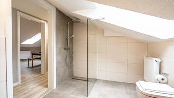 A modern bathroom with a glass shower enclosure, a toilet, and a skylight above.