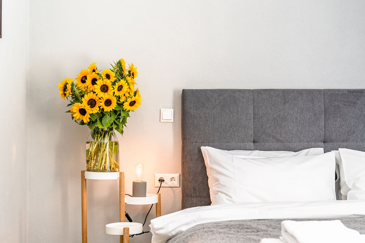 Economy-Apartment | Allergikerbettwaren, Bügeleisen/Bügelbrett, kostenloses WLAN, Bettwäsche
