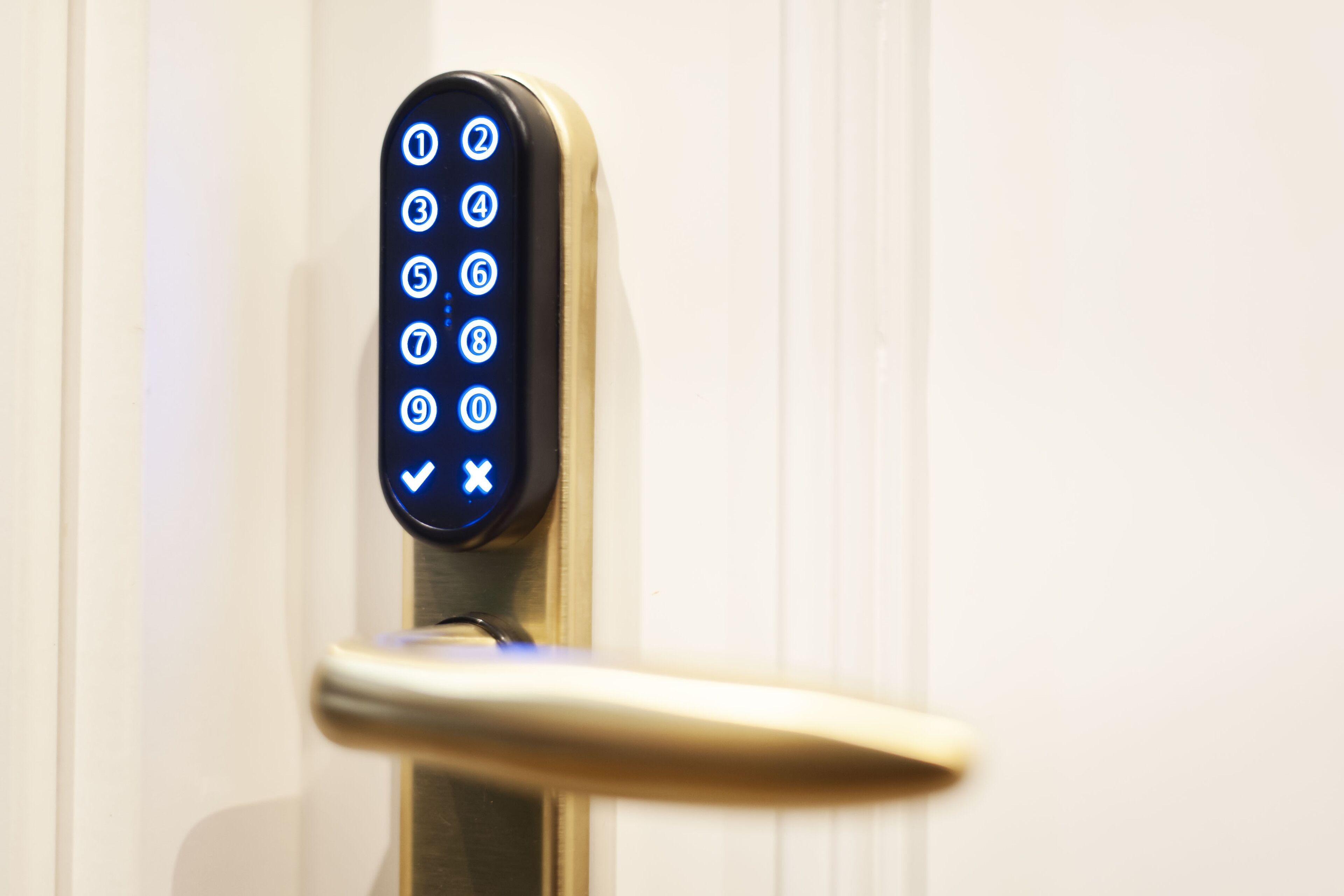 Foto - Pura Vida Pirineos