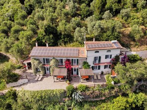 Exterior - Near Pisa & Lucca - Olive Grove House & Superb Pool  Views of The Leaning Tower  (Pugnano, San Giuliano Terme, Pisa)