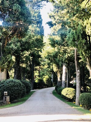 Entrada de la propiedad