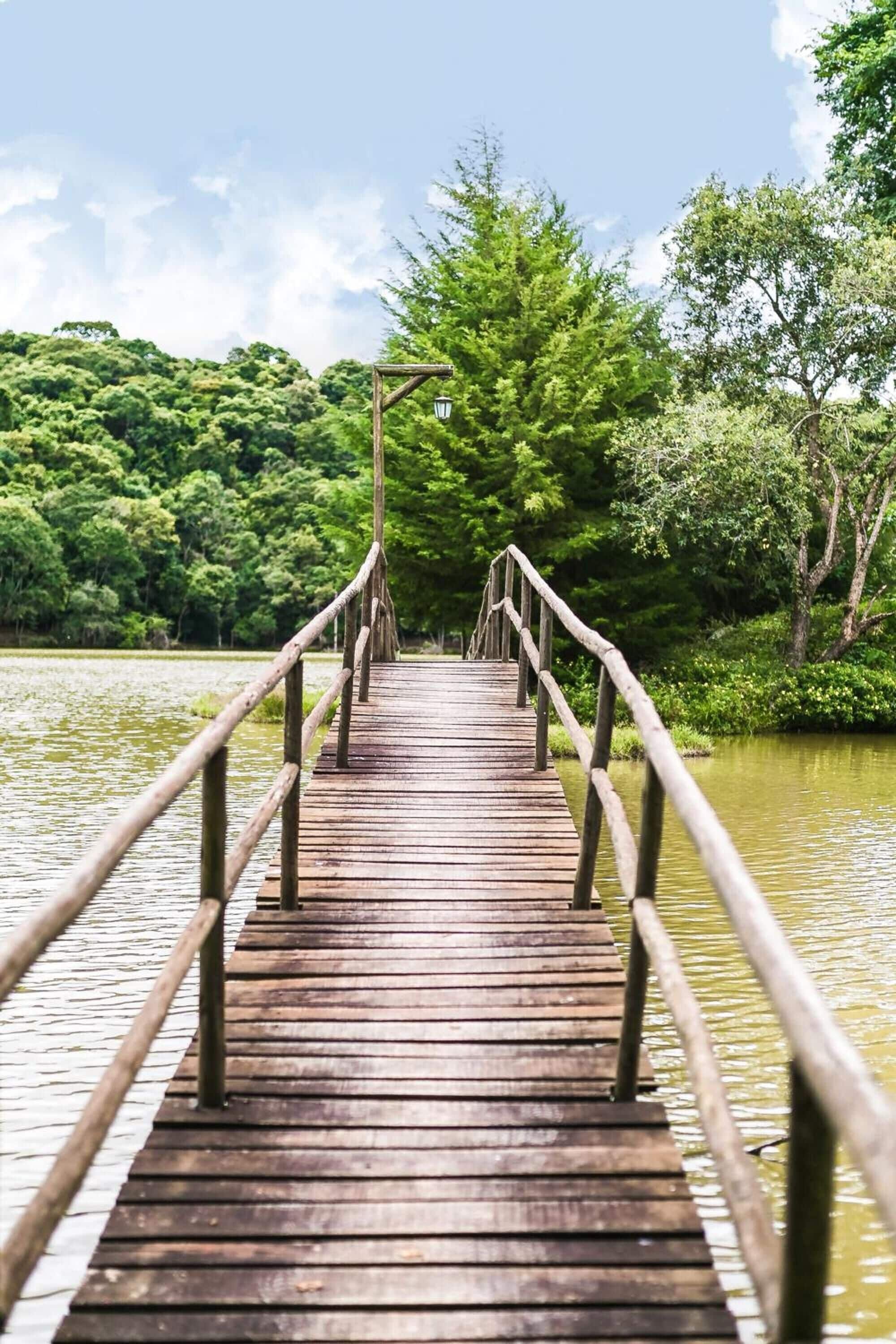 Un puente de madera con barandillas que se adentra en un bosque.