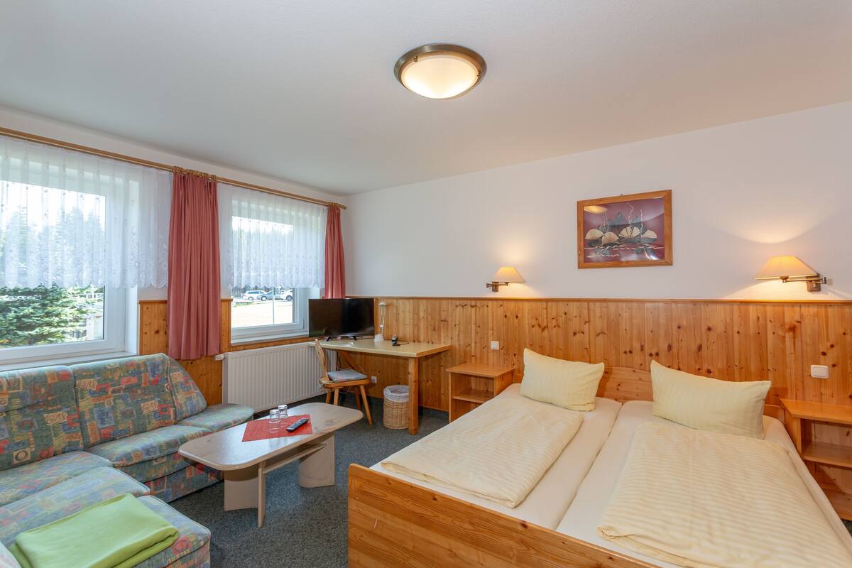 A room with a bed, a sofa, a desk, and a TV.