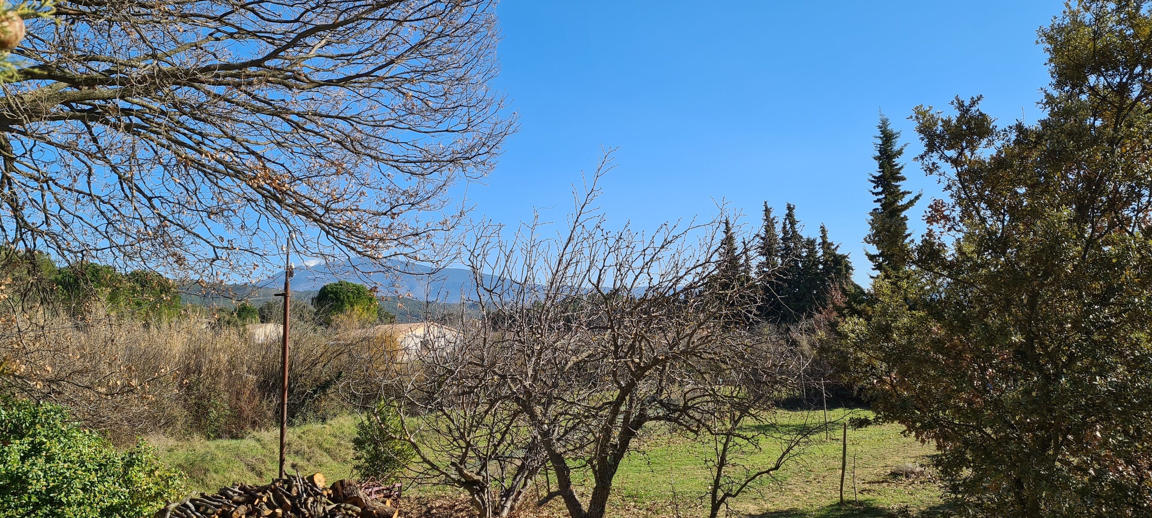 A natural landscape with trees, grass, and a distant mountain range.