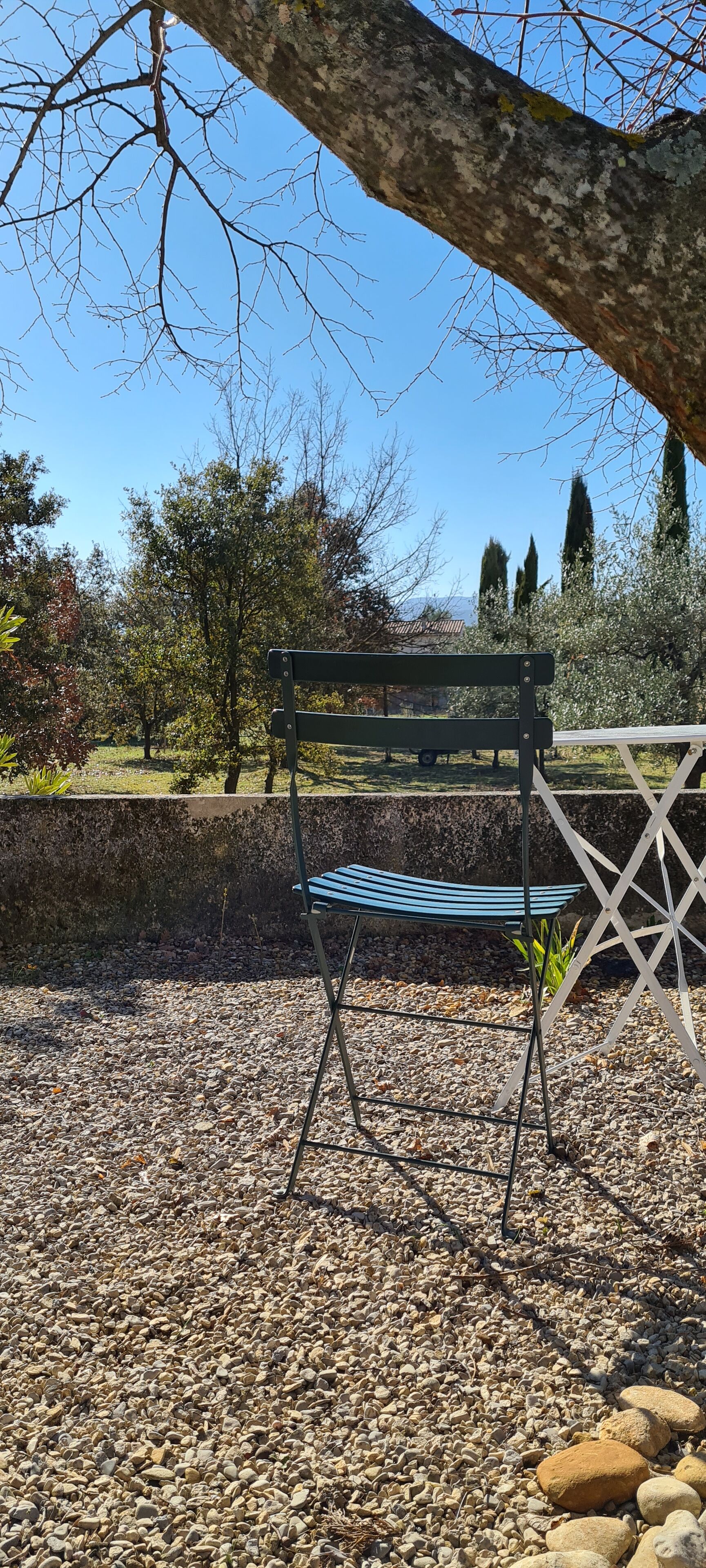 A bench in a garden with a gravel path, surrounded by trees and a clear sky.