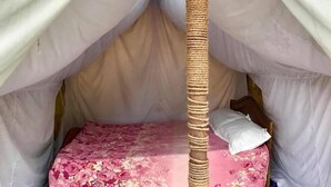 Comfort Tent