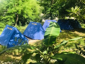 基础帐篷房 | 特色装修、特色家居