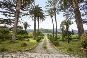 A paved pathway flanked by palm trees and greenery, leading towards distant hills. - Appartamento Podere San Marco (Portoferraio)