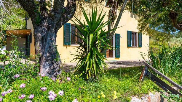 A building with a yellow facade, green shutters, and a tree in the foreground. - Villino La Fontanella (Portoferraio)