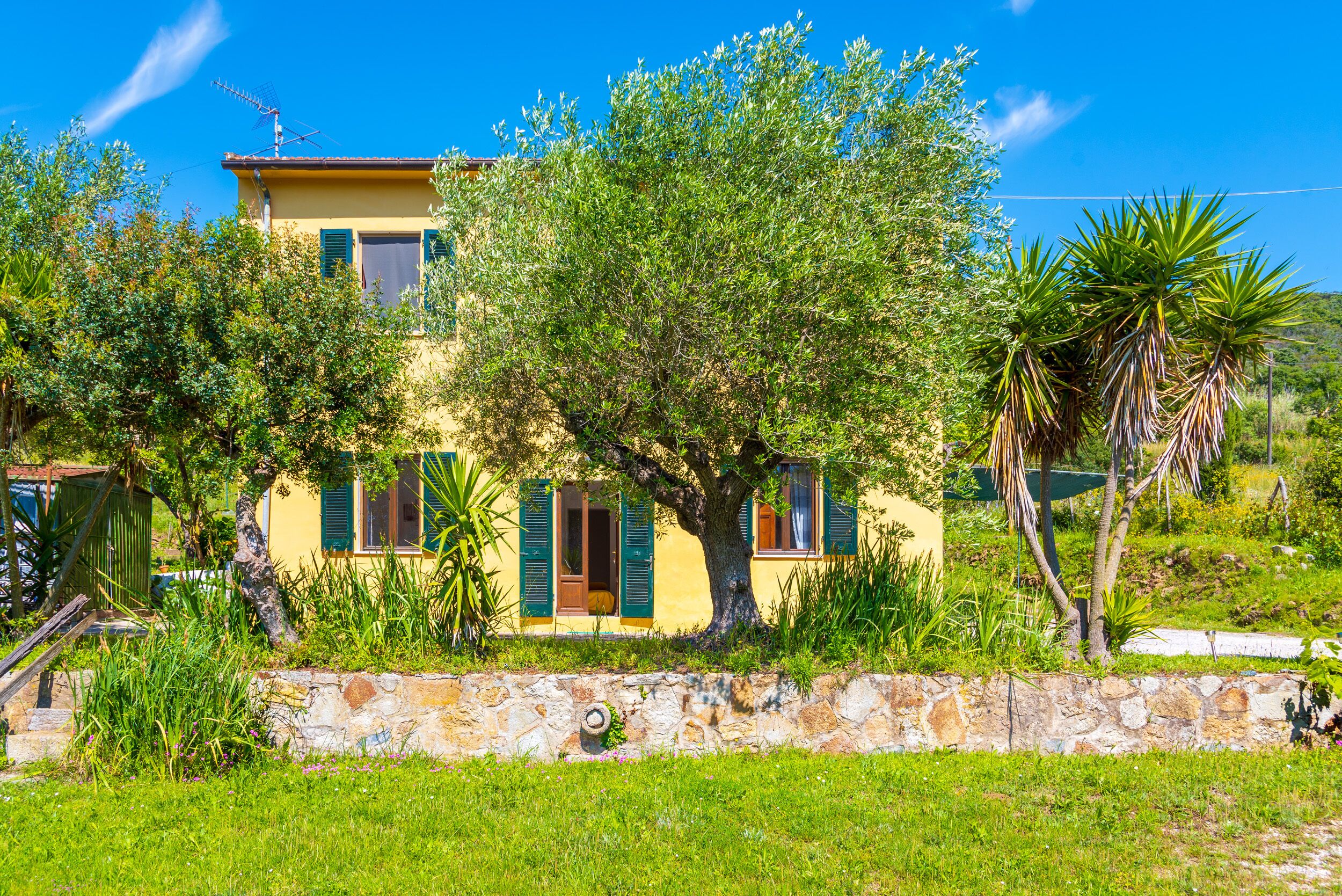 Una casa a due piani con un muro in pietra di fronte, persiane verdi e un grande albero nel cortile.