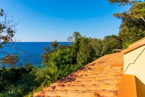 Un escalier menant à une zone côtière offrant une vue sur la mer.