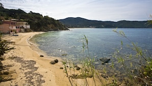 A coastal beach with clear water, a sandy shore, and buildings on a hillside. - Appartamenti Panorama (Portoferraio)