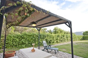 An outdoor patio with a pergola, a table, a chair, and a potted plant.