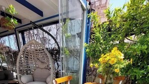 Un patio con mesa de madera, sillas blancas, una silla de mimbre y una planta en maceta.