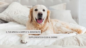Un chien allongé sur un lit recouvert d’une couverture blanche et de coussins.