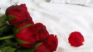 Un bouquet de roses rouges posé sur un couvre-lit blanc.