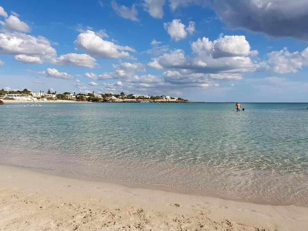 A beach with clear water, a sandy shore, and a distant shoreline with buildings.