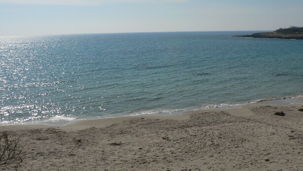 A beach with a sandy shore and calm sea. - Dolcesosta B&B (Pulsano)